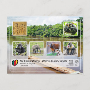 UNESCO WH- Dja Faunal Reserve Postkarte