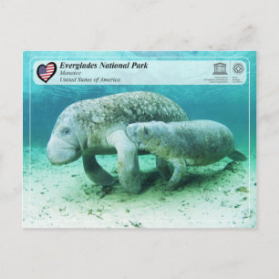 UNESCO WH- Everglades National Park - Manatee Postkarte