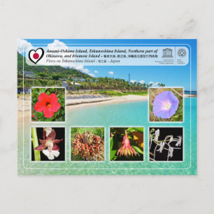 UNESCO WH- Insel Tokunoshima - 徳 之 島 - Flora Postkarte