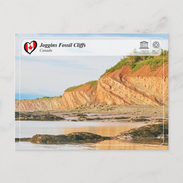 UNESCO WH- Joggins Fossil Cliffs Postkarte (Vorderseite)