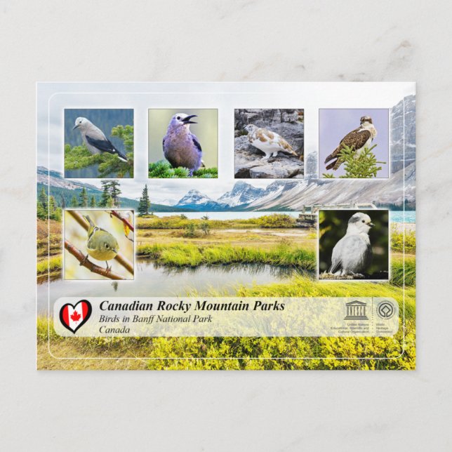 UNESCO WH- Nationalpark Banff Postkarte (Vorderseite)
