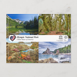 UNESCO WH- Olympischer Nationalpark Postkarte