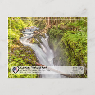 UNESCO WH- Olympischer Nationalpark - Sol Duc Fall Postkarte