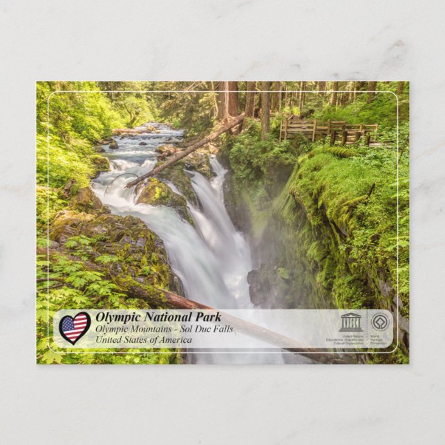 UNESCO WH- Olympischer Nationalpark - Sol Duc Fall Postkarte (Vorderseite)