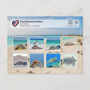 UNESCO WH- Papahānaumokuākea - Meeresschildkröten Postkarte