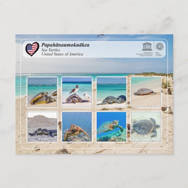 UNESCO WH- Papahānaumokuākea - Meeresschildkröten Postkarte (Vorderseite)