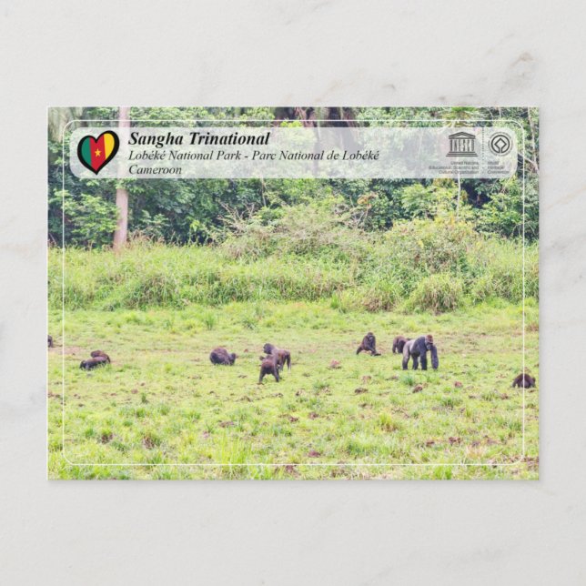 UNESCO WH- Sangha Trinational - Lobéké Postkarte (Vorderseite)