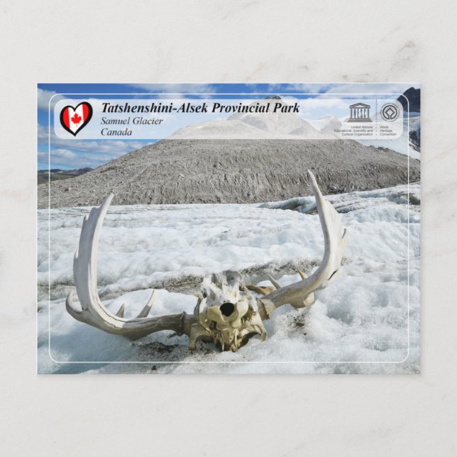 UNESCO WH- Tatshenshini-Alsek Provinzpark Postkarte (Vorderseite)