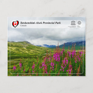 UNESCO WH- Tatshenshini-Alsek Provinzpark Postkarte