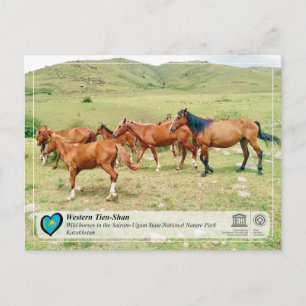 UNESCO WH- Western Tien-Shan - Sairam-Ugam Postkarte