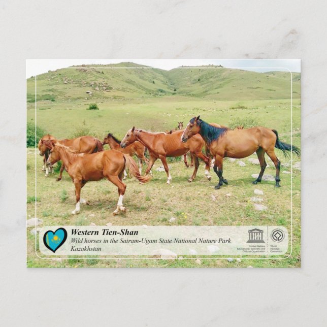 UNESCO WH- Western Tien-Shan - Sairam-Ugam Postkarte (Vorderseite)