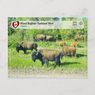 UNESCO WH- Wood Buffalo Nationalpark Postkarte