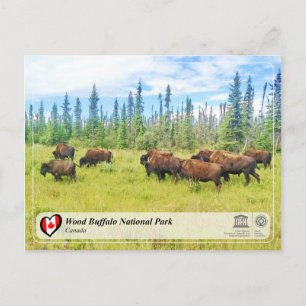 UNESCO WH- Wood Buffalo Nationalpark Postkarte