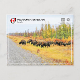 UNESCO WH- Wood Buffalo Nationalpark Postkarte