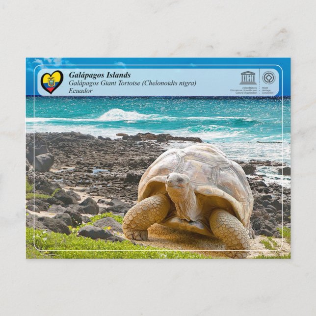 UNESCO WHS - Galápagos Islands - Giant Tortoise Postkarte (Vorderseite)
