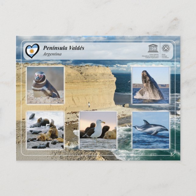 UNESCO WHS - Península Valdés Postkarte (Vorderseite)