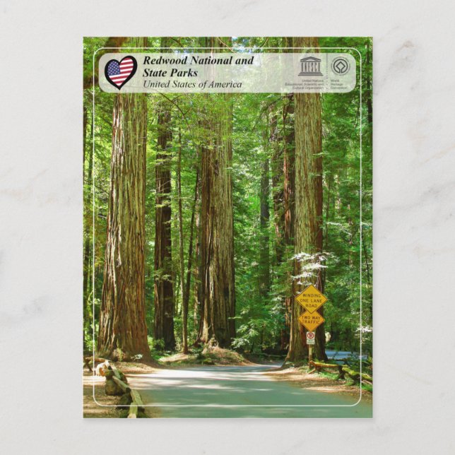 UNESCO WHS - Redwood National und Staat Parks Postkarte (Vorderseite)