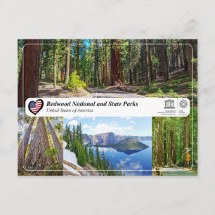 UNESCO WHS - Redwood National und Staat Parks Postkarte