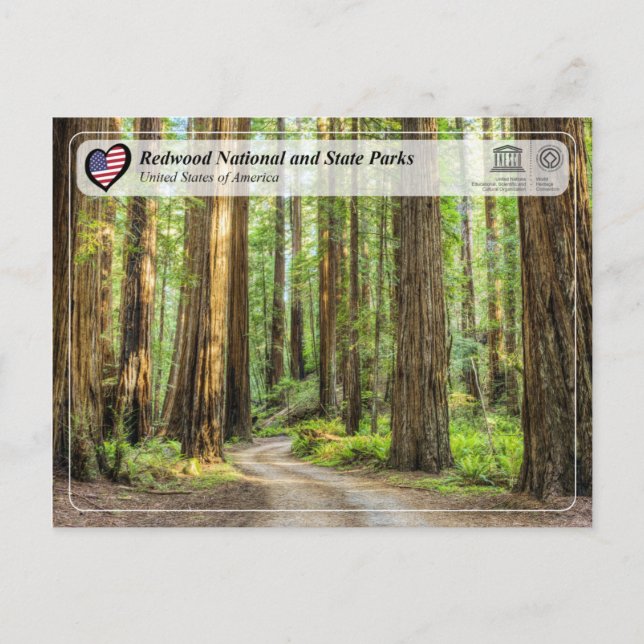 UNESCO WHS - Redwood National und Staat Parks Postkarte (Vorderseite)