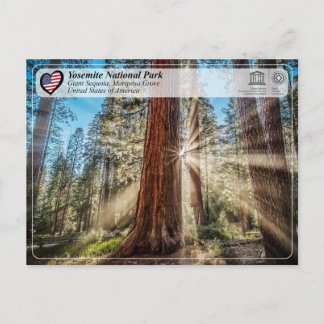 UNESCO - Yosemite National Park - Mariposa Grove P Postkarte