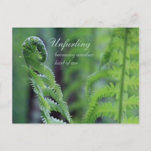 Unfurling fern leaf CC0191 Nature nah-up Foto Postkarte