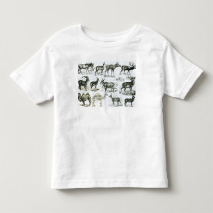 Ungalata oder Huftiere Kleinkind T-shirt