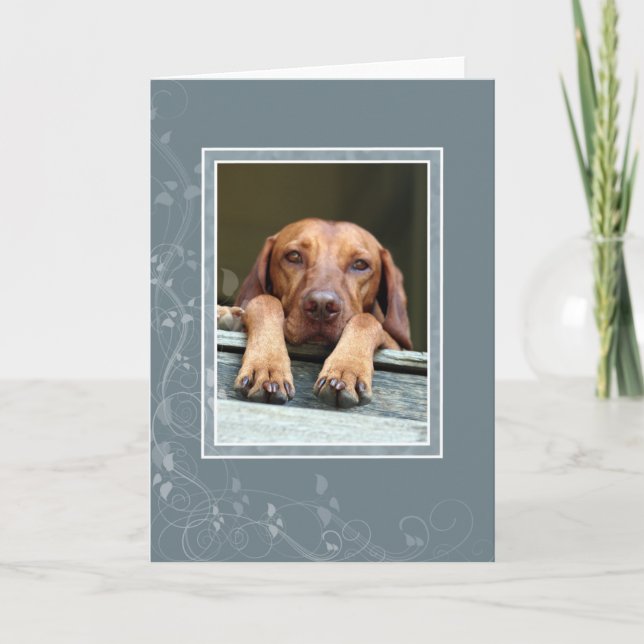 Ungar Vizsla leere Karte 002 (Vorderseite)