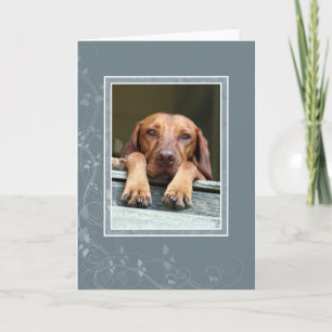 Ungar Vizsla leere Karte 002