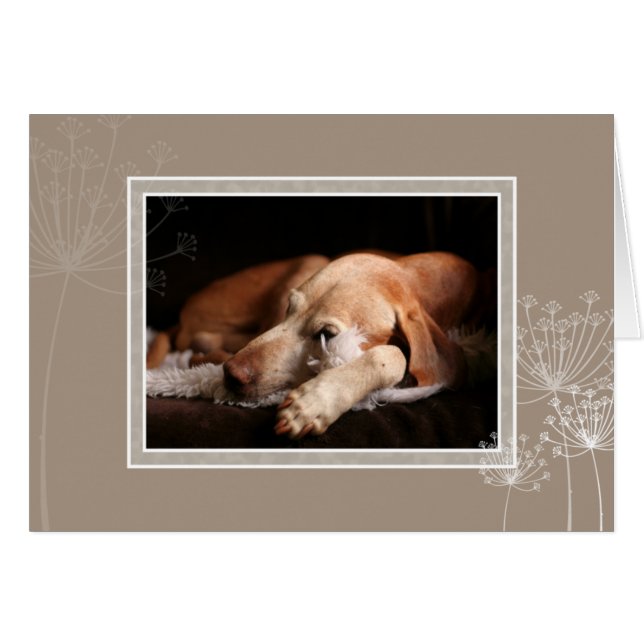 Ungar Vizsla leere Karte 004 (Vorderseite (Horizontal))