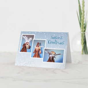 Ungar Vizsla Weihnachtskarte 011 Feiertagskarte