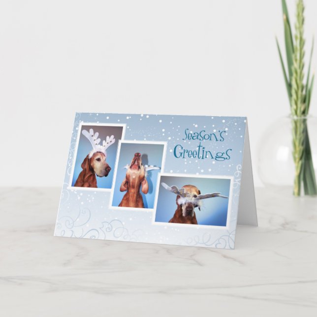 Ungar Vizsla Weihnachtskarte 011 Feiertagskarte (Vorderseite)