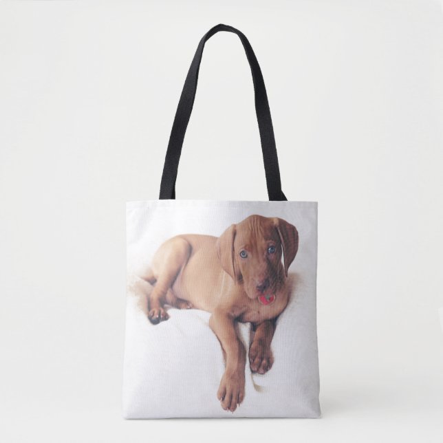 Ungar Vizsla Welpe (Vorderseite)