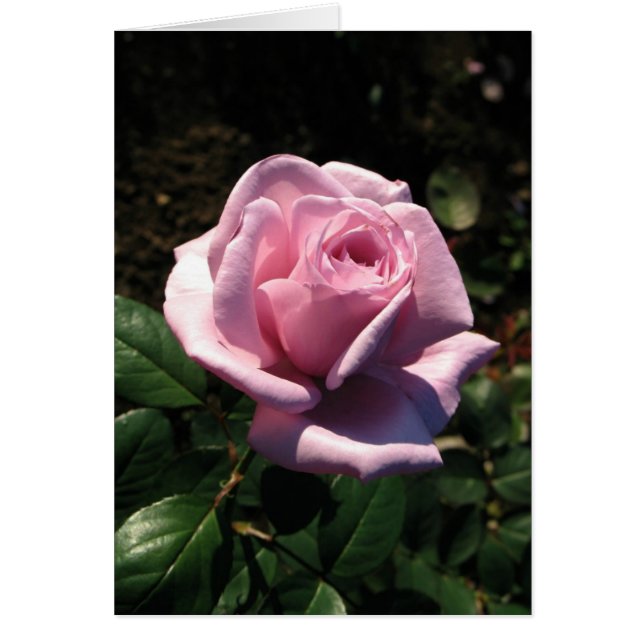 Ungarisch-Boldog születésnapot (Vorne)