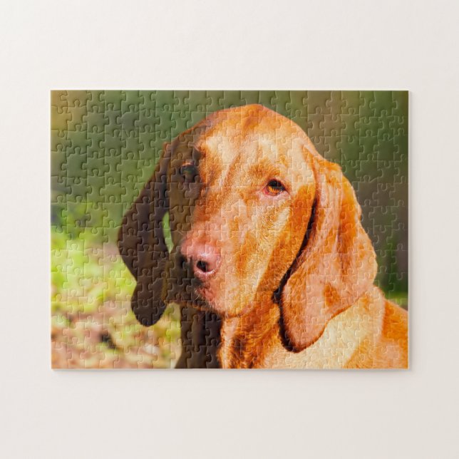 Ungarisch Vizla Dog Jigsaws. Puzzle (Horizontal)
