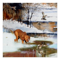 Ungarisch Vizsla, Jagd auf Enten im Winter