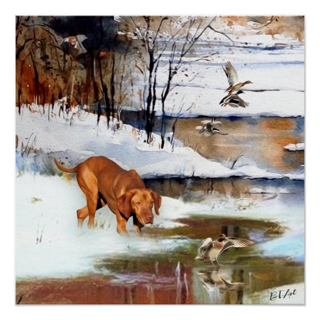 Ungarisch Vizsla, Jagd auf Enten im Winter Poster (Vorderseite)
