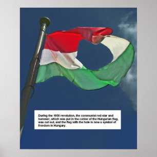 Ungarische Flagge der Revolution Poster