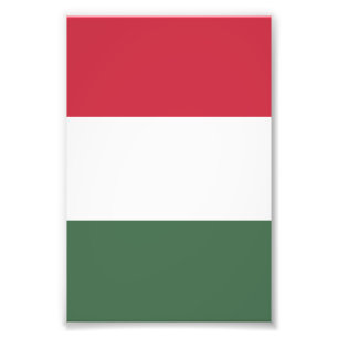 Ungarische Flagge Fotodruck