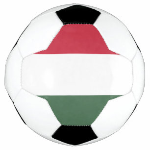 Ungarische Flagge Fußball