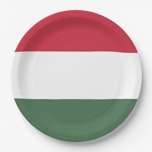 Ungarische Flagge Pappteller (Vorderseite)