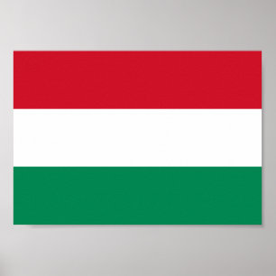 Ungarische Flagge Poster