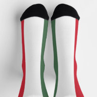 Ungarische Flagge
