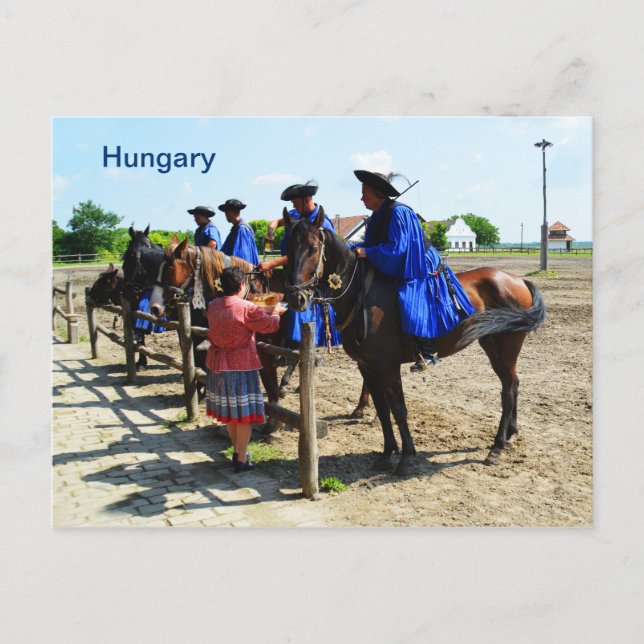 Ungarische Pferderennfahrer Ungarn Postkarte (Vorderseite)