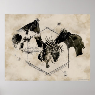Ungarischer Hornschwanzdrache Poster