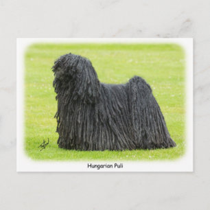 Ungarischer Puli 9R71D-101 Postkarte