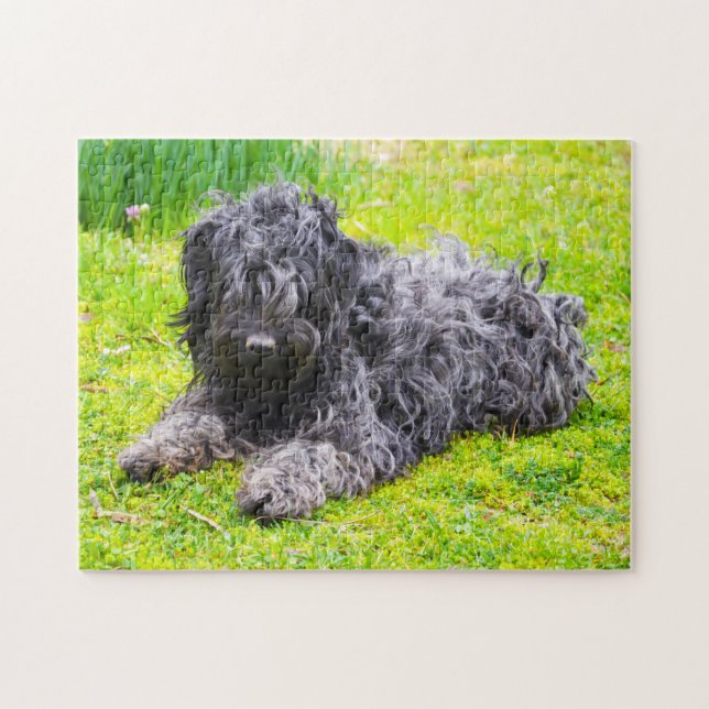 Ungarischer Puli Hund. Puzzle (Horizontal)