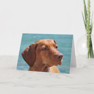 Ungarischer Vizsla Hund Karte