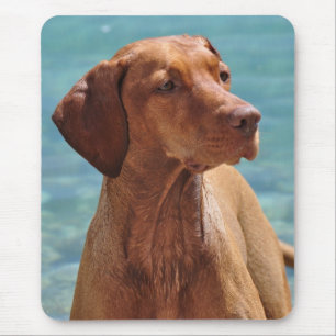 Ungarischer Vizsla Hund Mousepad