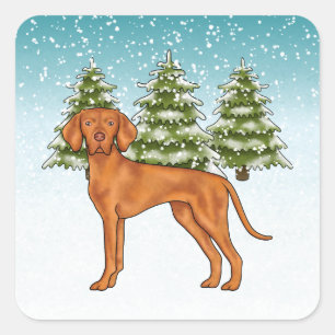Ungarischer Vizsla Hund Schneebedeckter Winterwald Quadratischer Aufkleber