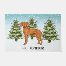 Ungarischer Vizsla Hund Schneeiger Winterwald Und